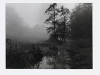 The River Alham that runs through my village in Somerset by Don McCullin contemporary artwork photography