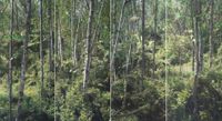Study of Green-White Birch 2 by Honggoo Kang contemporary artwork painting