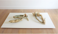 Object in Four Parts by Jacqueline Poncelet contemporary artwork sculpture
