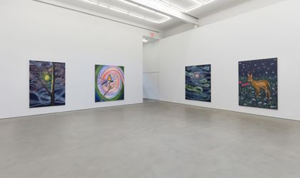 Exhibition view: Ann Craven, Night, Karma, 22 East 2nd Street and Bookstore, New York (2 November–20 December 2023). Courtesy Karma.