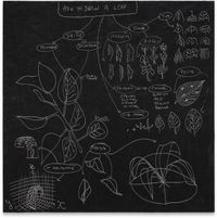 Flow Chart (How to Draw a Leaf) by Analia Saban contemporary artwork