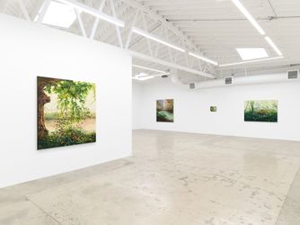 Exhibition view: Hannah Brown, Hollow Pond, Anat Ebgi, Los Angeles (8 March–20 April 2024). Courtesy Anat Ebgi, Los Angeles/New York.