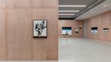 Contemporary art exhibition, Liu Xiaohui, Hibiscus at White Space, Shunyi, China