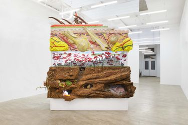 Exhibition view: Trey Abdella, Under the Skin, David Lewish, New York (9 November–13 January 2024). Courtesy David Lewis.