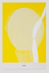 The Yellow Series: Egg by John Baldessari contemporary artwork mixed media