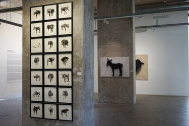 Exhibition View: Sadik Kwaish Alfraji, Charcoal, Ink and a Donkey, Galerie Tanit, Beyrouth (11 April–16 May 2024). Courtesy Galerie Tanit, Beyrouth/Munich.