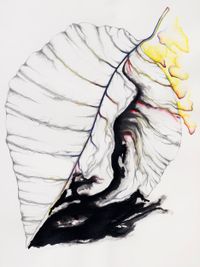 Light by Grace Schwindt contemporary artwork painting, works on paper, drawing