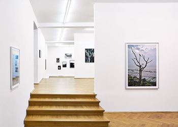 Exhibition view: Flo Maak, Collected Stories, Bernhard Knaus Fine Art, Frankfurt (5 February–30 April 2021). Courtesy Bernhard Knaus Fine Art.
