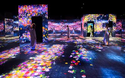 Exhibition view: teamLab, Living Digital Forest and Future Park, Pace Gallery, Beijing (20 May–19 November 2017). Courtesy Pace Gallery, Beijing.