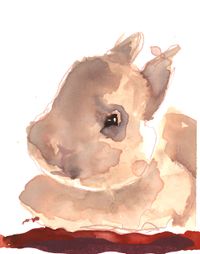 Bunnies of Ōkunoshima by Bianca Kennedy contemporary artwork painting, works on paper
