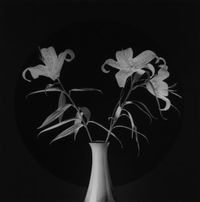Lilies by Robert Mapplethorpe contemporary artwork print