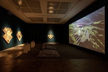 Exhibition view: Stephanie Comilang and Simon Speiser, Piña, Why is the Sky Blue?, Silverlens, Manila (26 April–25 May 2024). Courtesy Silverlens.