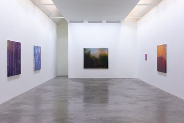 Exhibition view: Elizabeth Magill, Red Stars and Variations, Kerlin Gallery, Dublin (29 May–10 July 2021).  Courtesy Kerlin Gallery.
