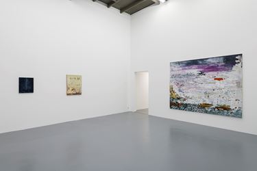 Exhibition view: Marina Rheingantz, Galope, Zeno X Gallery, Antwerp (8 November–23 December 2017). Courtesy Zeno X Gallery, Antwerp. Photo: Peter Cox.