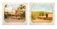 Plantation (Diptych No. 5) by Tracey Moffatt contemporary artwork photography