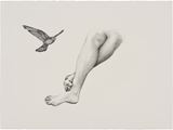 Inseparable (Nankeen Kestrel) by Patricia Piccinini contemporary artwork 2