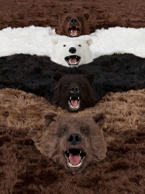 I'm a bear, so what? by Paola Pivi contemporary artwork