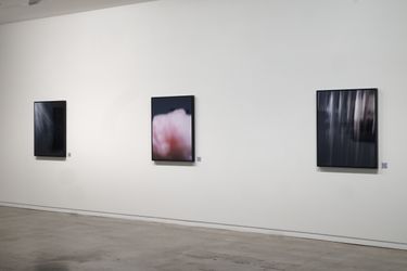 Exhibition view: Conor Clarke, As far as the eye can reach, Two Rooms, Auckland (4 June–3 July 2021). Courtesy Two Rooms.