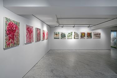 Exhibition view: Jiwon Kim, canvas fly, PKM Gallery, Seoul (30 May–7 July 2019). Courtesy PKM Gallery.