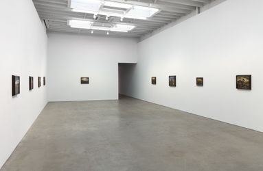 Contemporary art exhibition, Luigi Zuccheri, Luigi Zuccheri at Karma, 188 E 2nd Street, United States