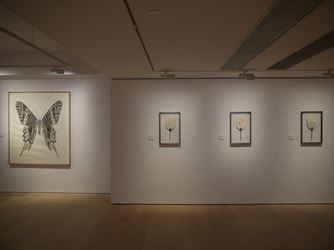 Exhibition view: Hui Hoi-Kiu, Ling Pui Sze, Zhang Yirong, Qiao Yuan, Women + Ink | China + Hong Kong Alisan Fine Arts, Central, Hong Kong (15 August–6 September 2019). Courtesy Alisan Fine Arts.