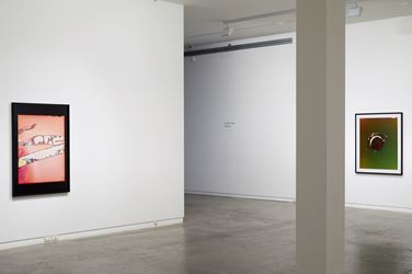 Exhibition view: Justine Varga, Memoire, Two Rooms, Auckland (31 May–6 July 2019). Courtesy Two Rooms.