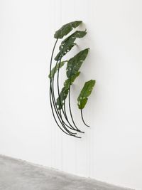 Banana (80% chance of rain) by Tania Pérez Córdova contemporary artwork sculpture