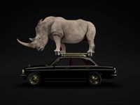 High-speed Forms - Rhinoceros by Zhang Ding contemporary artwork print