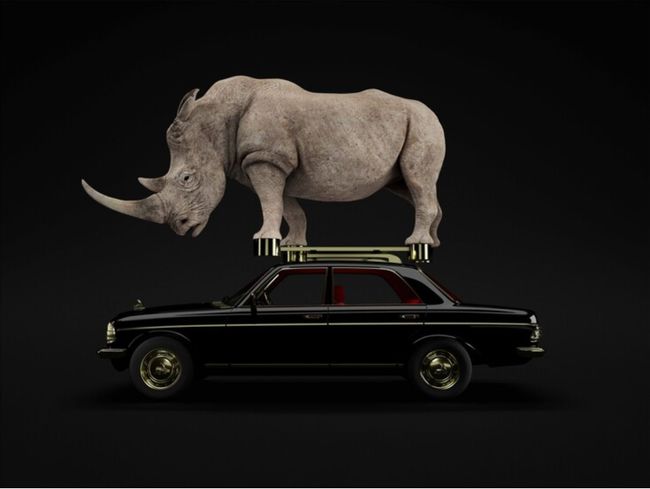 High-speed Forms - Rhinoceros by Zhang Ding contemporary artwork