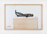 Untitled (leopard) by Paola Pivi contemporary artwork 1