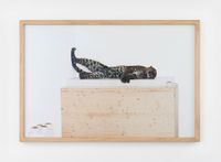 Untitled (leopard) by Paola Pivi contemporary artwork photography