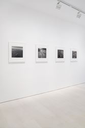 Exhibition view: Emmet Gowin, The Nevada Test Site, Pace Gallery, New York (25 October–21 December 2019). Courtesy Pace Gallery and Pace/MacGill.