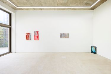Exhibition view: Eunsae Lee, mite life, GALLERY2, Seoul (24 August–23 September 2023). Courtesy GALLERY2.