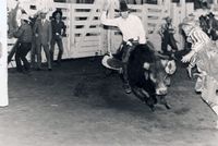 Untitled (Fort Worth Rodeo) by Garry Winogrand contemporary artwork photography