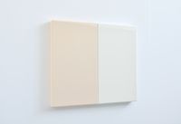 Flesh White by Suzie Idiens contemporary artwork painting
