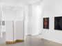 Contemporary art exhibition, Heimo Zobernig, Heimo Zobernig at Galerie Chantal Crousel, Paris, France