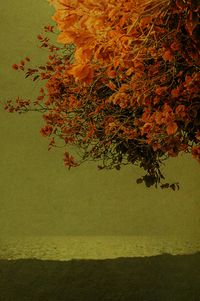 Sonata by Paul Cupido contemporary artwork photography