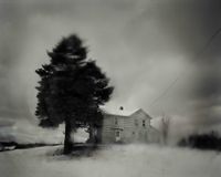 Untitled #10845-7 (from the series Excerpts from Silver Meadows) by Todd Hido contemporary artwork photography
