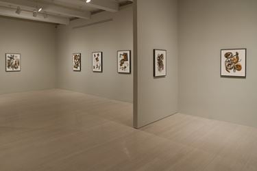 Exhibition view: Irving Penn, Paintings, Pace Gallery, 32 East 57th Street, New York (13 September–13 October 2018). © The Irving Penn Foundation. Courtesy Pace Gallery.