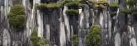 Cliff in Lingering Garden -after Wu Bin’s Ten Views of Lingo Rock by Cao Mengqin contemporary artwork photography