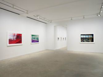 Exhibition view: James Welling, Metamorphosis, David Zwirner, Hong Kong (1 April–8 May 2021). Courtesy David Zwirner.