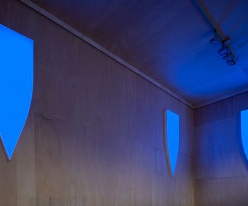 Contemporary art exhibition, Pamela Rosenkranz, Alien Blue at Sprüth Magers, Berlin, Germany