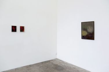 Exhibition view: Tyne Gordon, Silo, Jonathan Smart Gallery, Christchurch (25 October–18 November 2023). Courtesy Jonathan Smart Gallery.