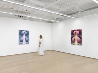 Exhibition view: Loie Hollowell, The Third Stage, Pace Gallery, Geneva (6 September–28 October 2023). © Loie Hollowell, Geneva,2022. Courtesy Pace Gallery. Photo: Annik Wetter.