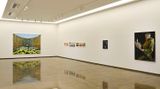 Contemporary art exhibition, Carol Anne McGowan, David O'Kane, Eamon O'Kane , The Liminal Space at Gallery Baton, Seoul, South Korea