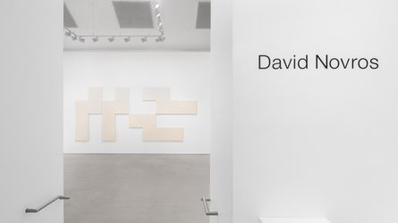 Exhibition view: David Novros, Galerie Max Hetzler, Paris, (15 January–26 February 2022). © David Novros / ADAGP, Paris, 2021. Courtesy Galerie Max Hetzler, Berlin | Paris | London. Photo: Nicolas Brasseur.