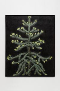 A monkey puzzle tree with new growth by Andrew Sim contemporary artwork works on paper, drawing