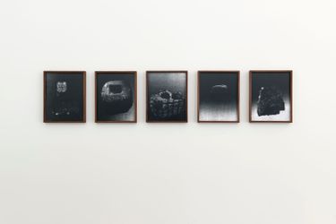 Exhibition view: Sophie Nys, Galerie Greta Meert, Brussels (7 February–5 April 2014). Courtesy Galerie Greta Meert