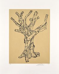 Cedar (small) by Ai Weiwei contemporary artwork print