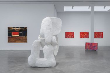Contemporary art exhibition, Group Exhibition, Mediated Body: Among Objects and Fields at ShanghART, Westbund, Shanghai, China